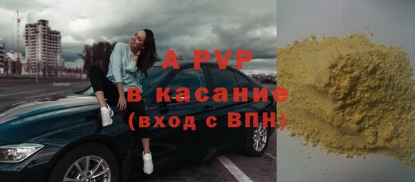 крисы Магадан