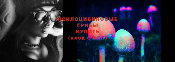 дмт Майский