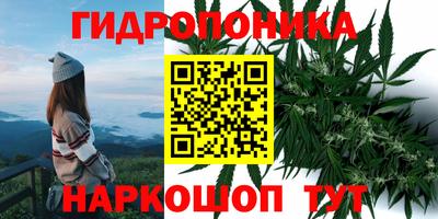 2c-b Донской