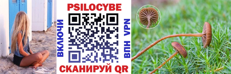 наркота  Муром  Псилоцибиновые грибы Psilocybine cubensis 