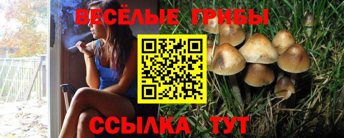 Псилоцибиновые грибы GOLDEN TEACHER  Галлюциногенные грибы мухоморы  Муром 