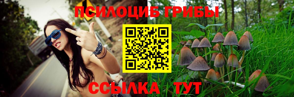 Псилоцибиновые грибы ЛСД Муром